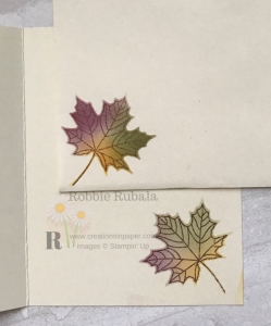 Look at this gorgeous leaf on the inside of my card and envelope! Click the photo to see my Ink Blending Technique.