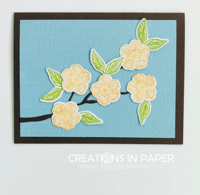 The Scripty embossing folder makes the perfect background for these blossoms. The Faux Watercolor technique was perfect for this Scripty Forever Blossoms creation.