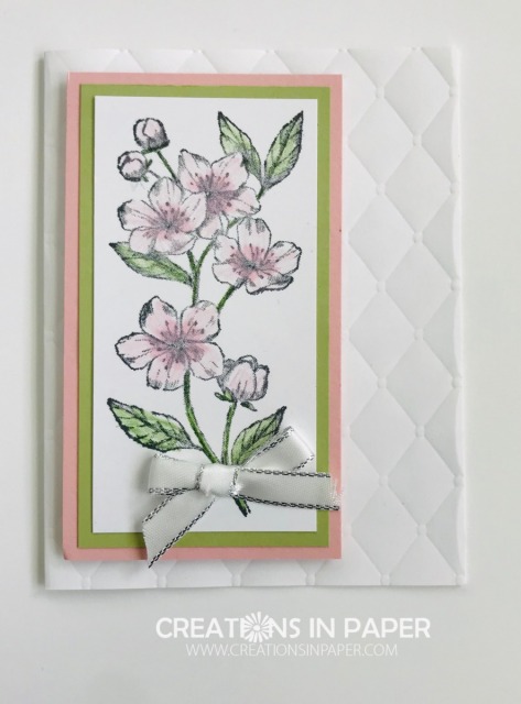 These soft pink cherry blossoms are easy to color. Check out how I used colored pencils to create the Forever Blossoms in Pink creation. 