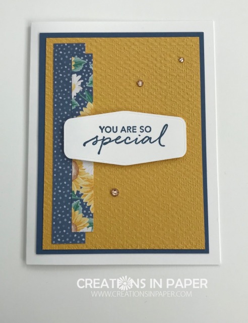 Do you love using your strips of designer series paper? Check out this quick and easy Stampin' Up Misty Moonlight Special card.