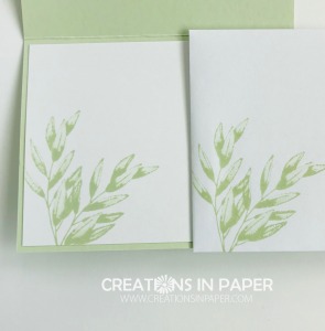 This image has matching designer series paper. See the paper that goes with it by getting the details for the Monochromatic Forever Fern creation.