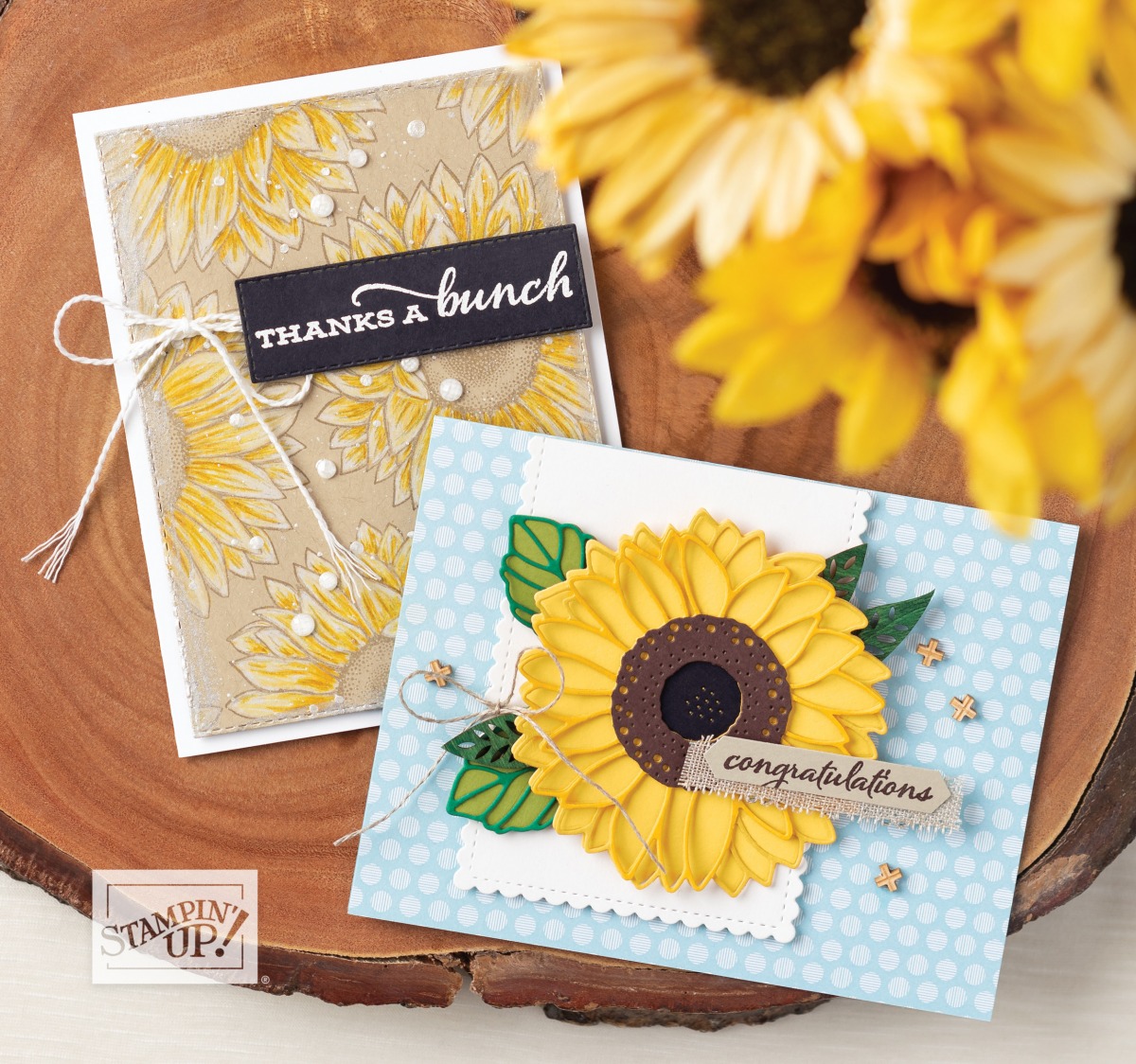 Celebrate Sunflowerd offers Bundle