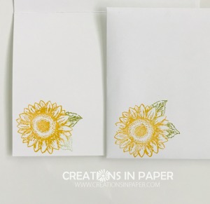 These adorable sunflowers mimic the ones on the card front. Take a look at the card front to see the Clean and Simple Sunflower card.