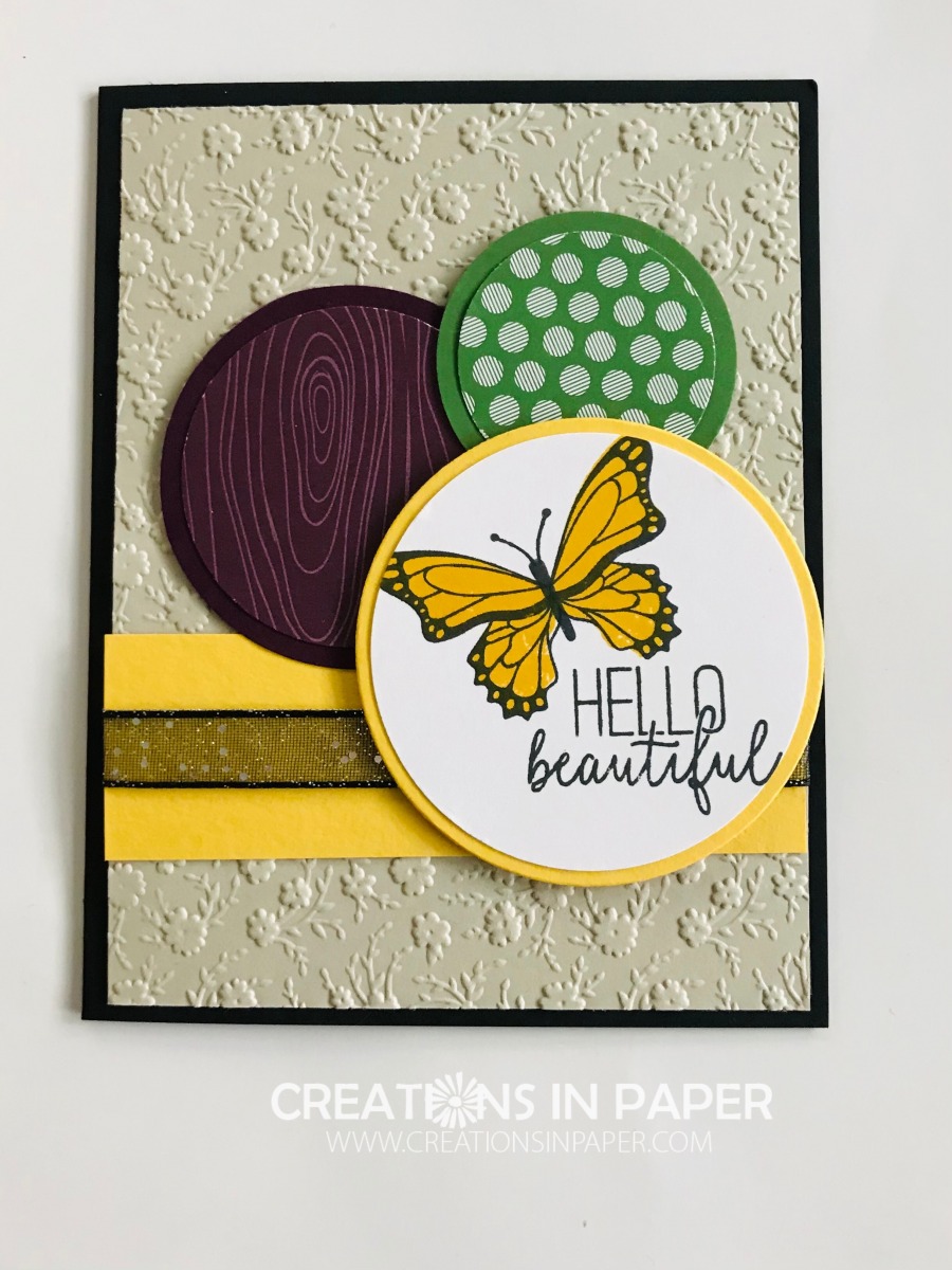 Butterfly Gala with Circles - Creations in Paper