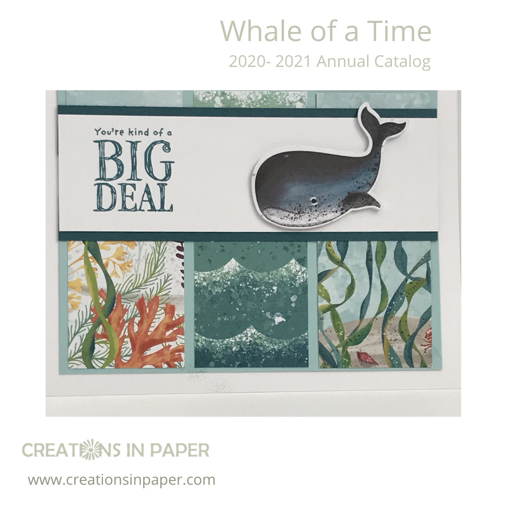 Isn't this a great boy's card? All the work for the Handmade Boy's Card was done using the designer series paper ~the whale was even punched from it. Watch the video to see how to make it.