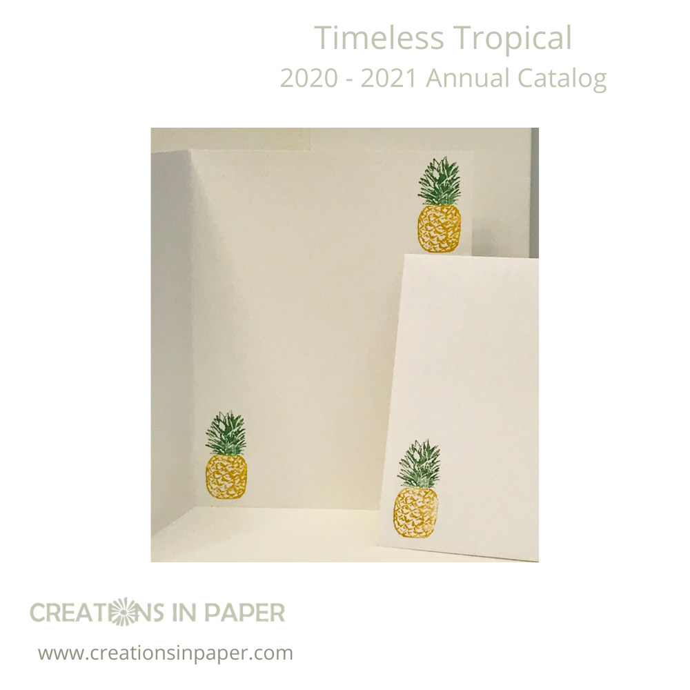 Look at this cute pineapple. So cute to use on your card. I used the Coloring Stamps with Markers technique to add the color.