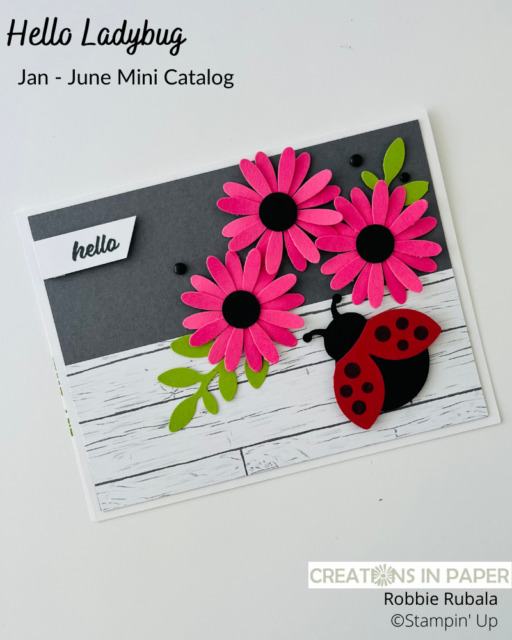 Don't you think this looks like flowers and a ladybug on the side of a house?  I love the daisy punch for creating all colors of daisies.  Check out the information on the Punch Art Daisies - Stampin' Up Hello Ladybug creation and get supplies to make your version.