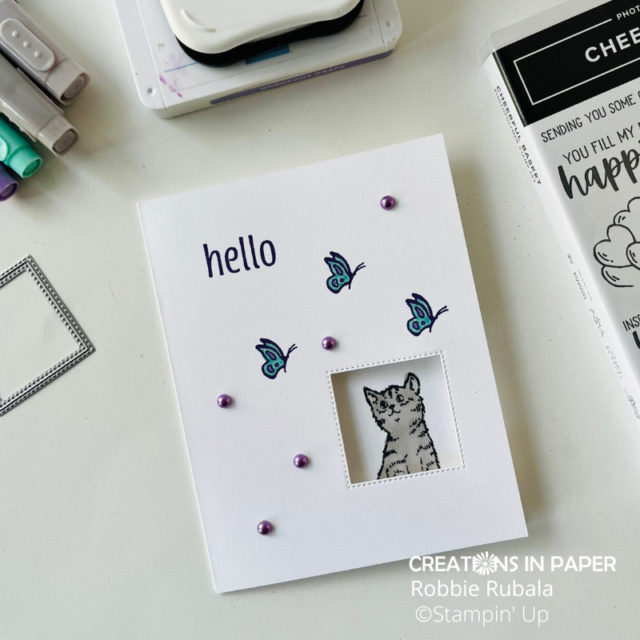 What do you think that cat is thinking about those butterflies?  Bet he is wondering how he can catch one.  Get all the details for the Stampin' Up Cheerful Basket clean & simple idea.