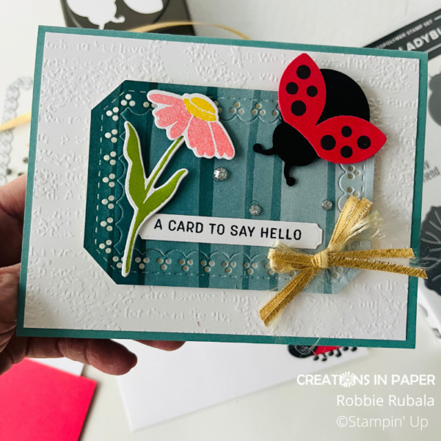 close up of the Ladybug Card Candy Hello card