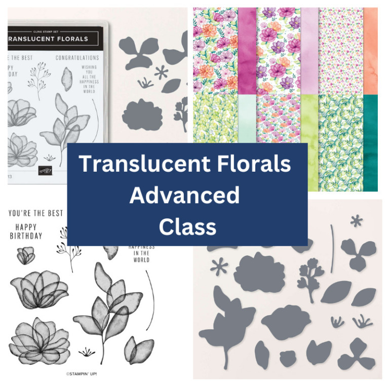 Translucent Florals for Inspiration in Ink blog hop - Creations in Paper