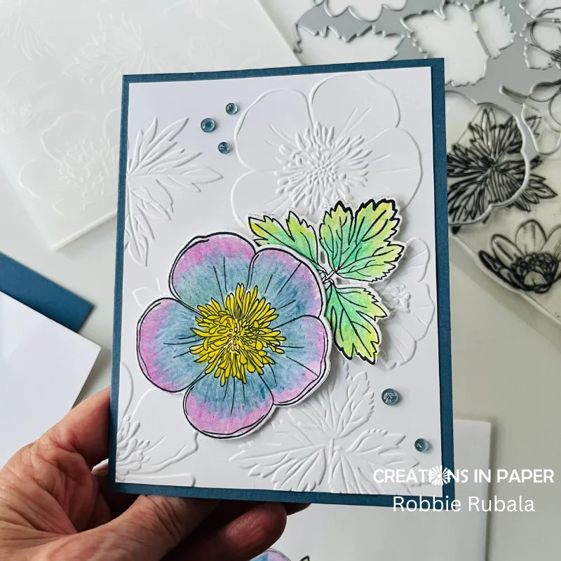 Anything Goes Saturday - watercolor pencils - Creations in Paper