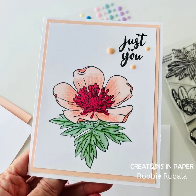 Anything Goes Saturday - colored pencil accents - Creations in Paper