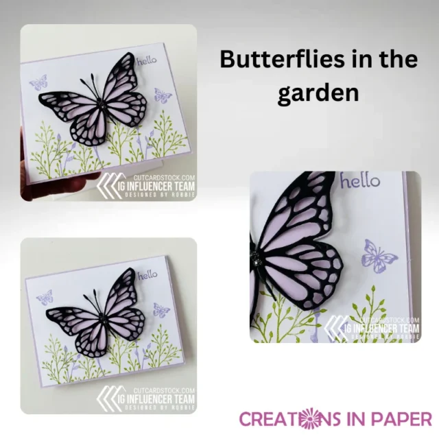 Butterflies in the garden