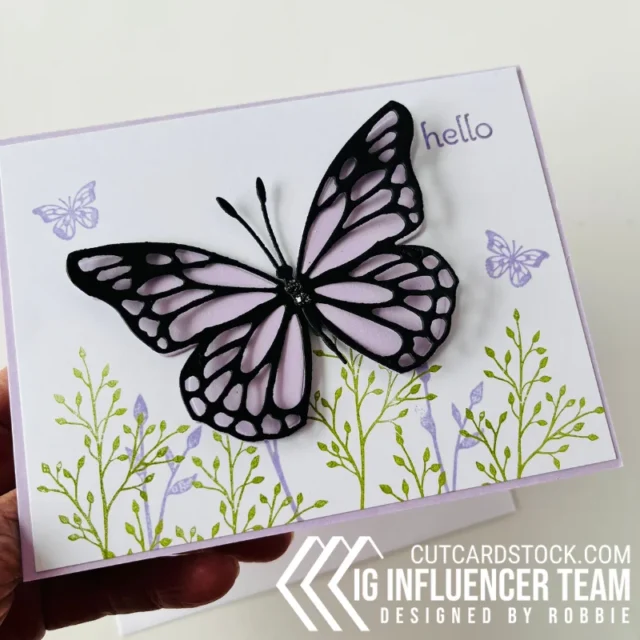 Butterflies in the garden