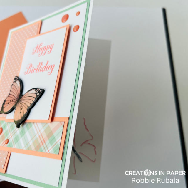 Anything Goes Saturday - butterfly birthday