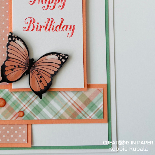 Anything Goes Saturday - butterfly birthday