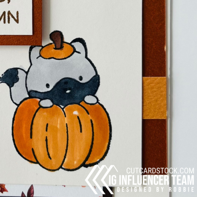 Fall CutCardStock color ideas