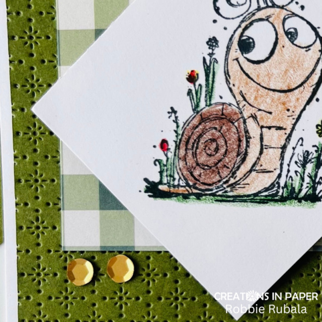 Anything Goes Saturday - snail kid's idea