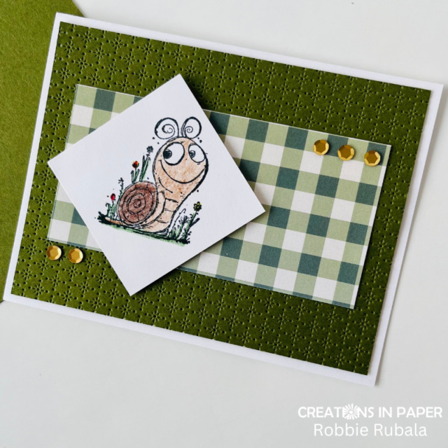 Anything Goes Saturday - snail kid's idea