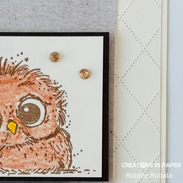 Anything Goes Saturday - friendly face