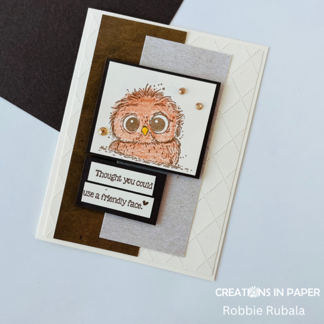 Anything Goes Saturday - friendly face