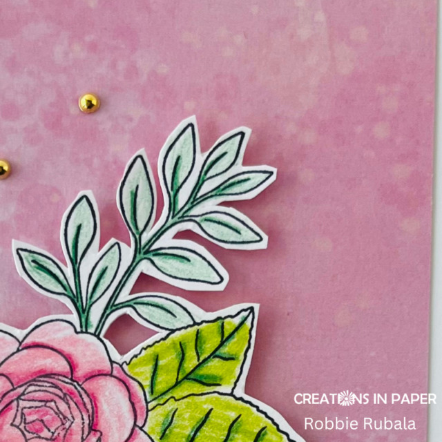 Anything Goes Saturday - pure color pencils