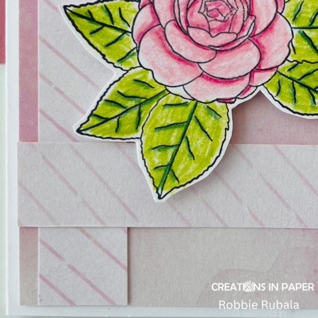 Anything Goes Saturday - pure color pencils