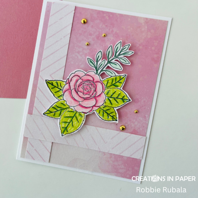 Anything Goes Saturday - pure color pencils