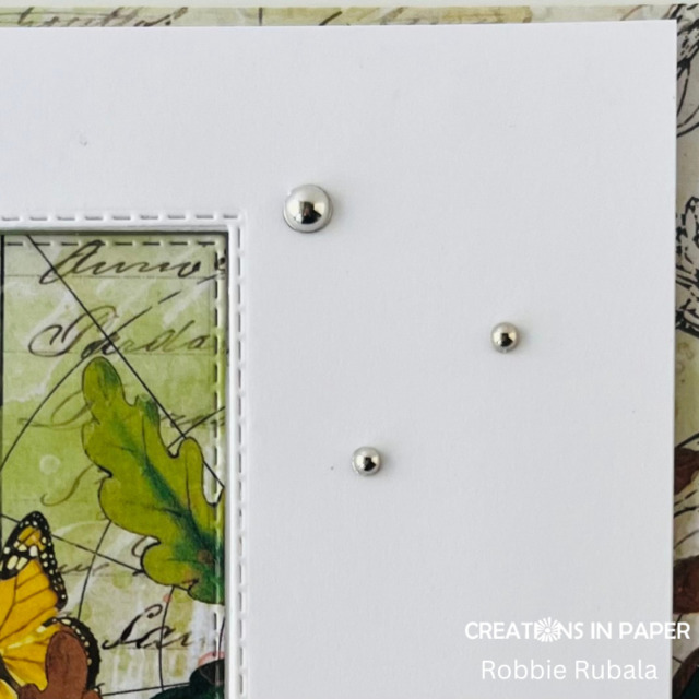 Butterfly Window card for Sunday Ideas