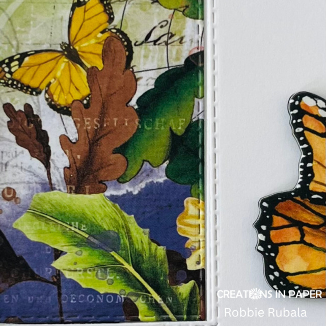 Butterfly Window card for Sunday Ideas