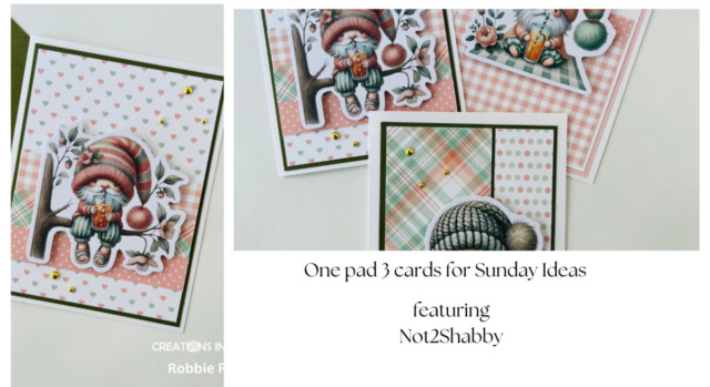 One pad 3 ideas for Sunday Ideas