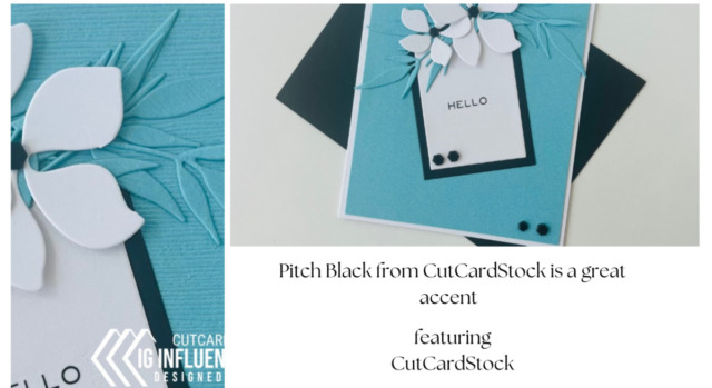 Pitch Black from CutCardStock is a great accent