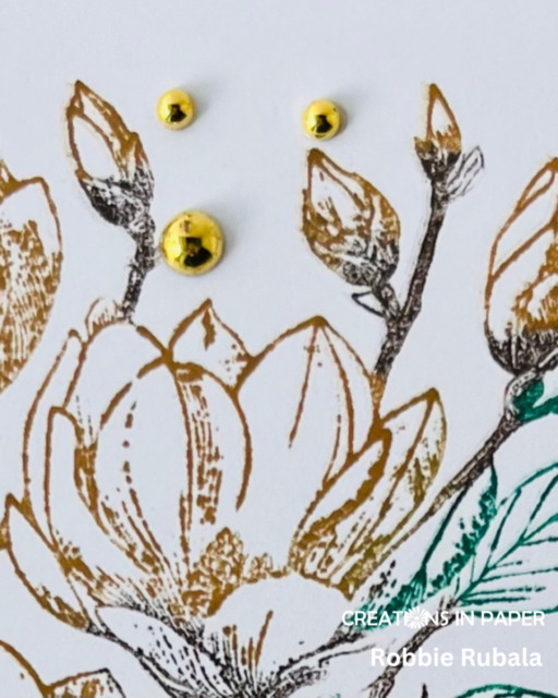 Playing with magnolias for Sunday Ideas