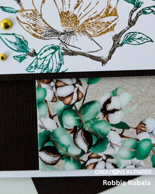 Playing with magnolias for Sunday Ideas